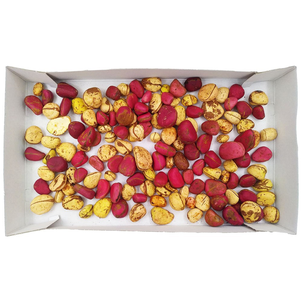 (Cola Nuts) Cola Nuts Red/White Mix Box 2 kg.