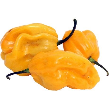 (Fresh Hot Pepper) Habanero Yellow (Netherlands) - Box 4 kg (AEF)