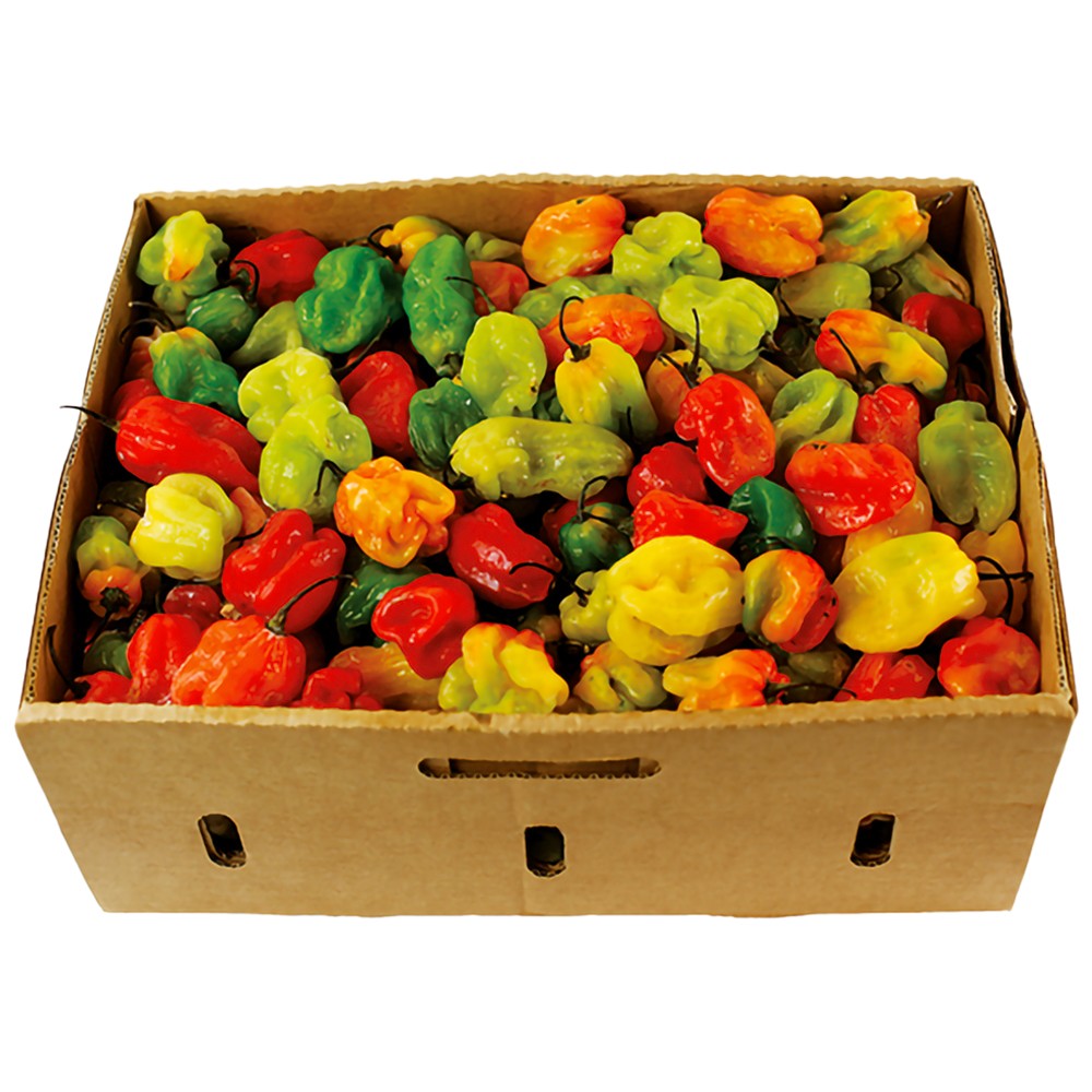 (Fresh Hot Pepper) Hot Pepper Pili-Pili - Box
