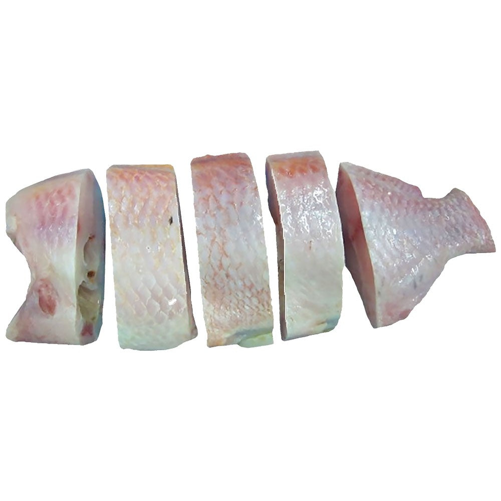 (Fish Steaks Frozen) Tilapia Steaks Red 150-300 gr. Ctn. 4 kg.