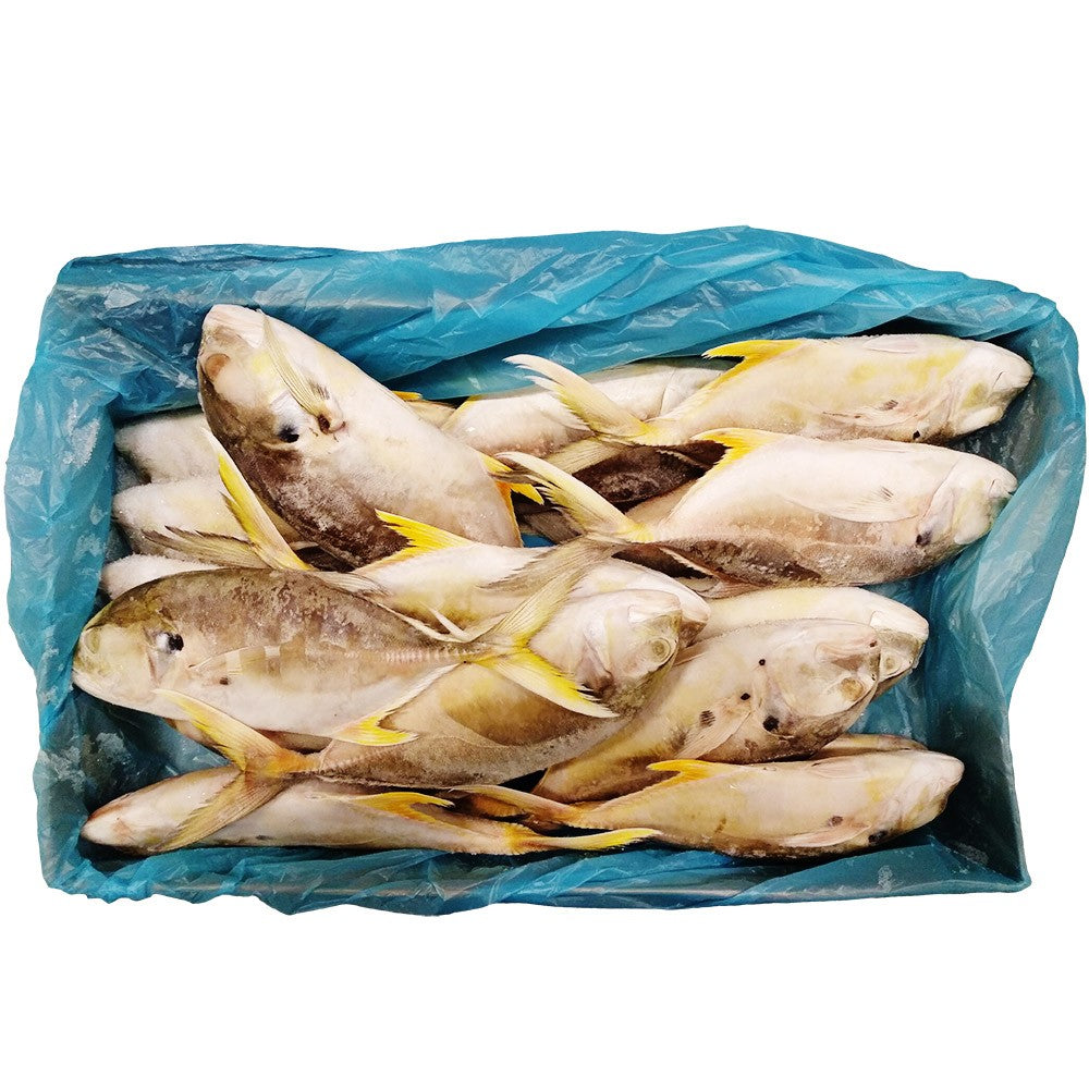 Fresh Frozen Fish Trevally 300-800 gr. W/R Box 10 kg.