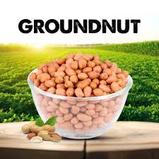 Groundnuts