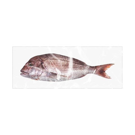 FISH Dorade Denton G/S 300/500 gr. IWP Box 5 kg.