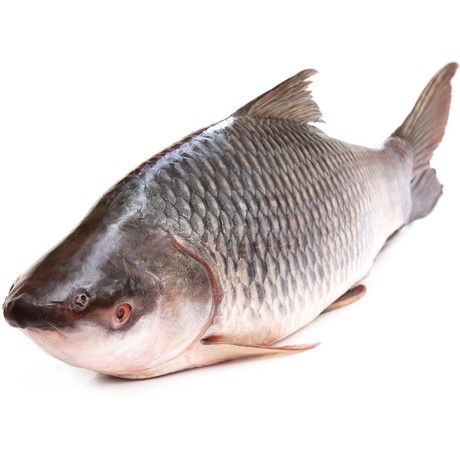 (Fish Whole Frozen) ASIAN CHOICE  Lane Snapper W/R 1000/1500 - Box 10 kg (AEF)