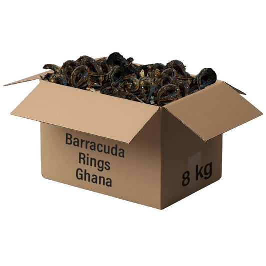 (Baracuda Ring Smoked) Baracuda Ring Smoked Extra Dry Ghana Box 8 kg.