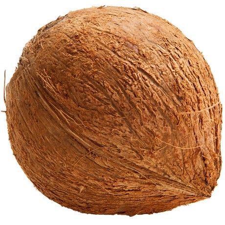 (Fresh Fruit Vegetable) Coconut Brown -Box 40 Pieces (AEF)