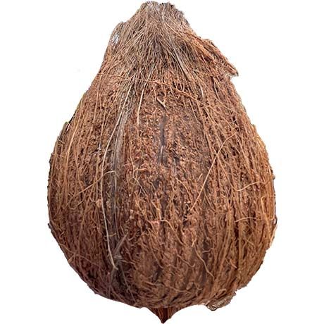 Coconut Semi Husked - 25 Pieces (AEF)
