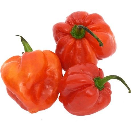 (Fresh Hot Pepper) Habanero Red (Netherlands)- Box 4 kg (AEF)