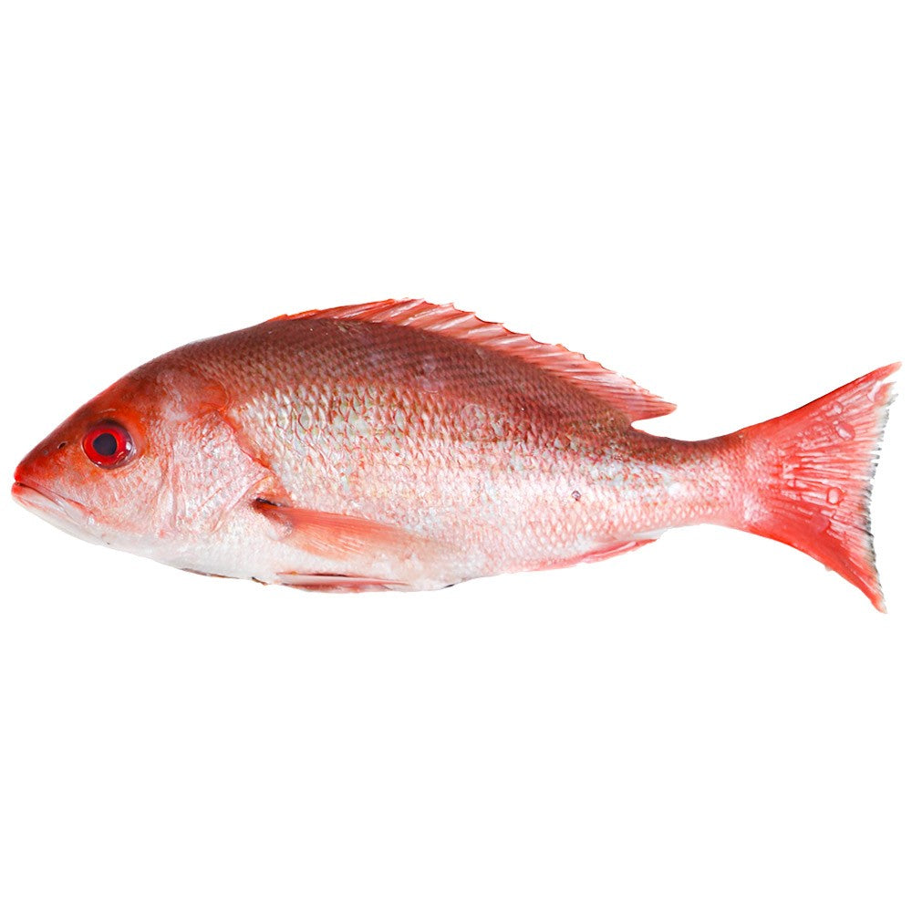 (Fish Whole Frozen) Red Snapper  200-300 IWP Box 3 kg