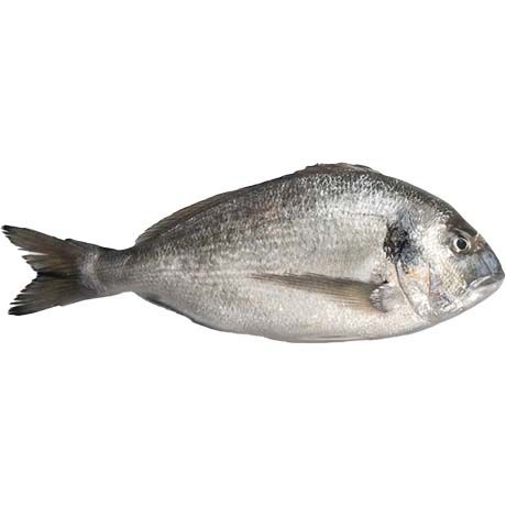 (Fish Whole Frozen) Sea Bream Dorade G&S IQF 400-600 - Box 5 kg (AEF)