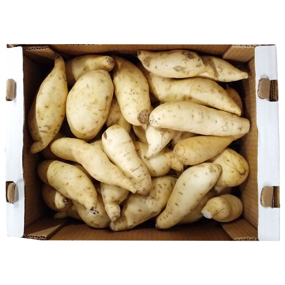 (Fresh Root Vegetable) Sweet Potatoes Brasil White 10 kg.