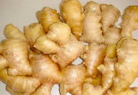 (Fresh Vegetable Root) WABU  Ginger - Box 12,5 kg (AEF)